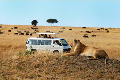 Best Camping Tours and Safaris Ltd - African Safari Provider