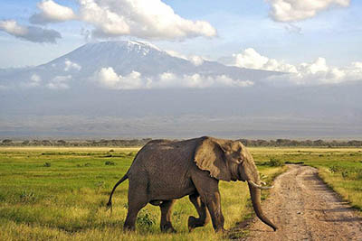 Best Camping Tours and Safaris Ltd - African Safari Provider